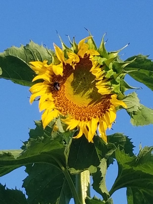 Journey without Judgment