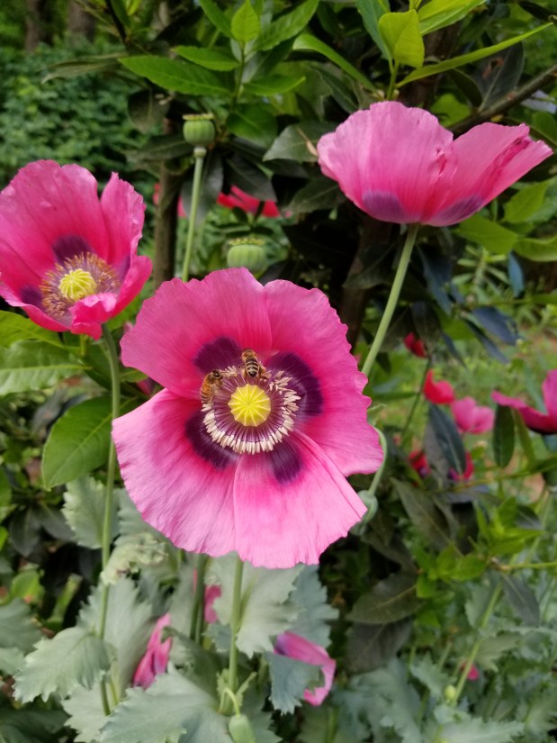 The Gift of&nbsp;Non-Attachment