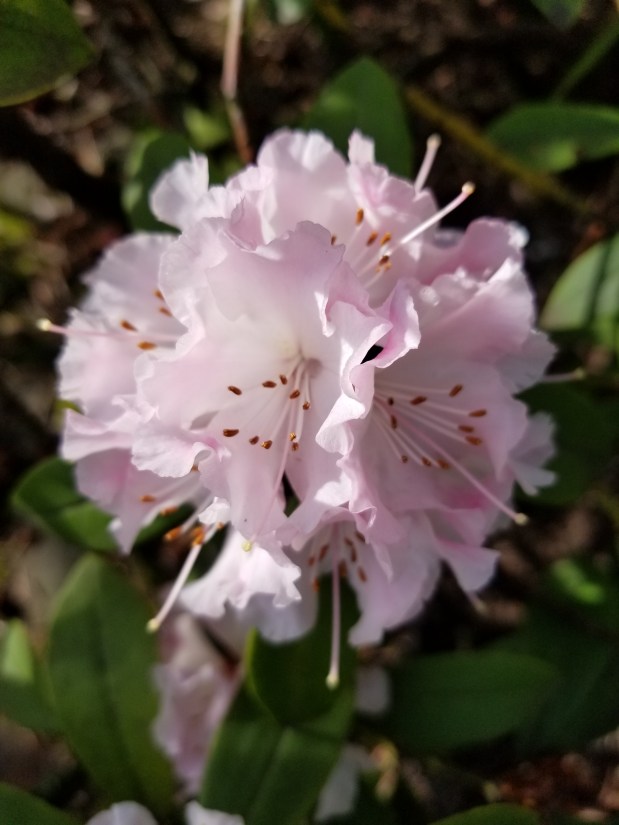 Creating Reality with the Power of Conscious&nbsp;Words