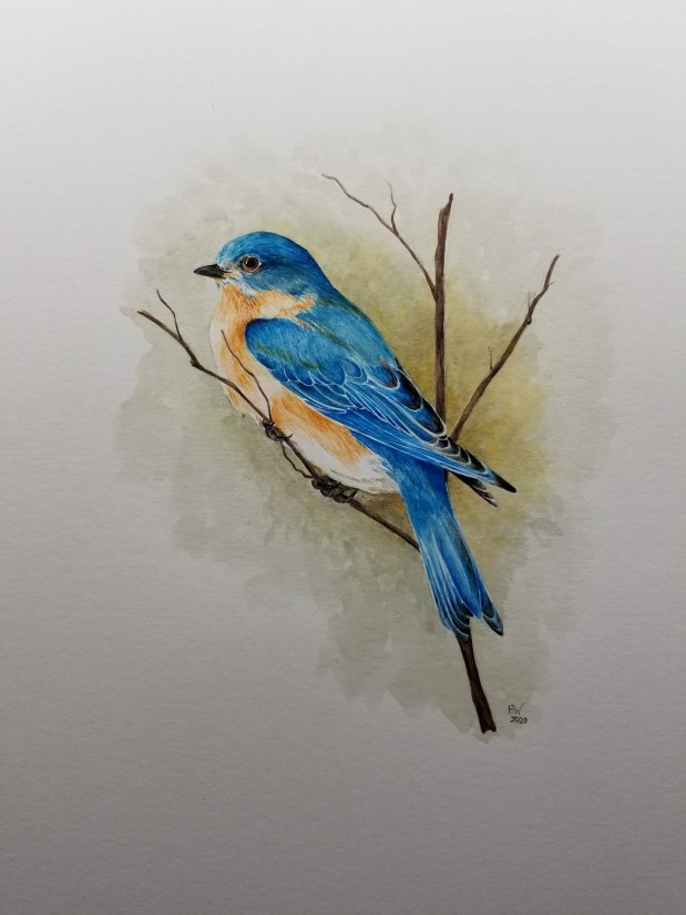 Exploring More Creatively