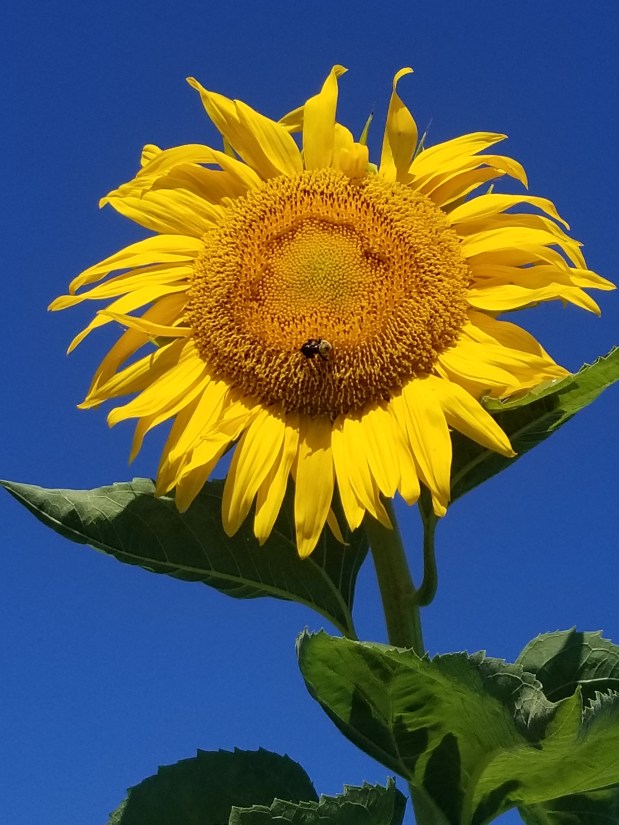 It’s Time for All of Us to&nbsp;Shine