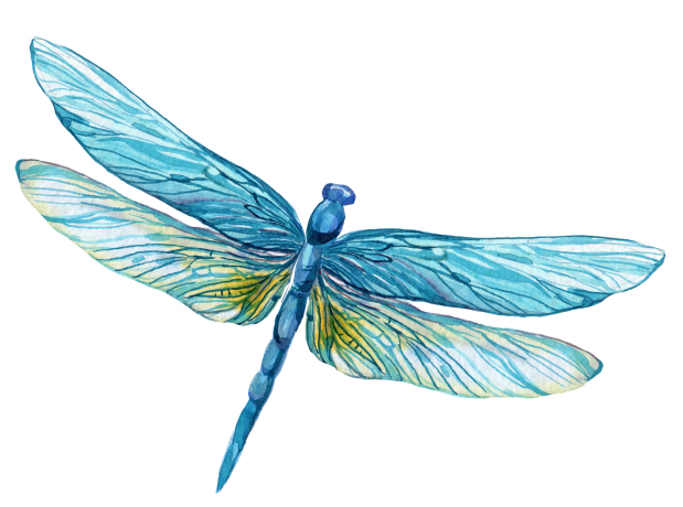 Journey with Unity&nbsp;Principles